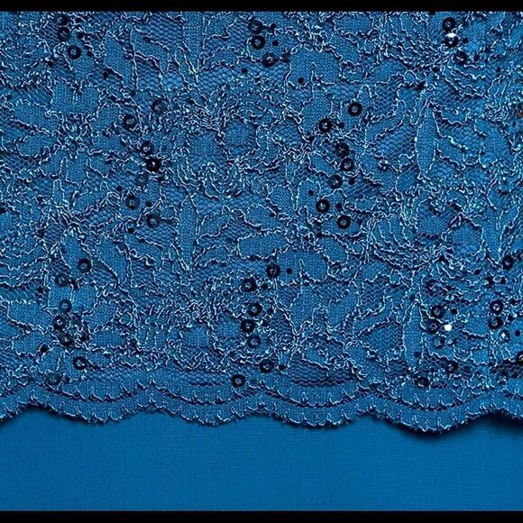 Alex Lace Evening Gown Dress Size 14W NWT - Picture 10 of 12